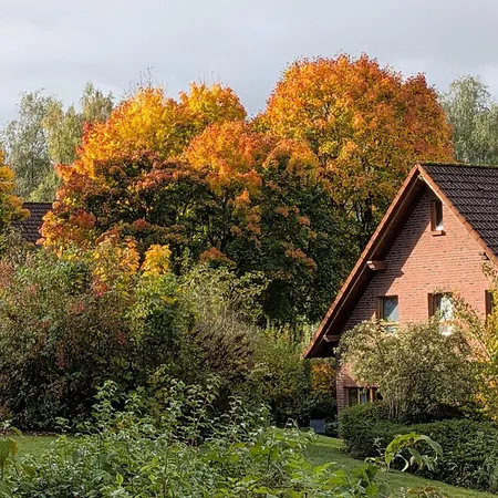 Haus 9 Ferienpark, Wlan, Kostenfreier Parkplatz, Grillen Auf Der Terrasse Schoene Familienzeit! Nieheim