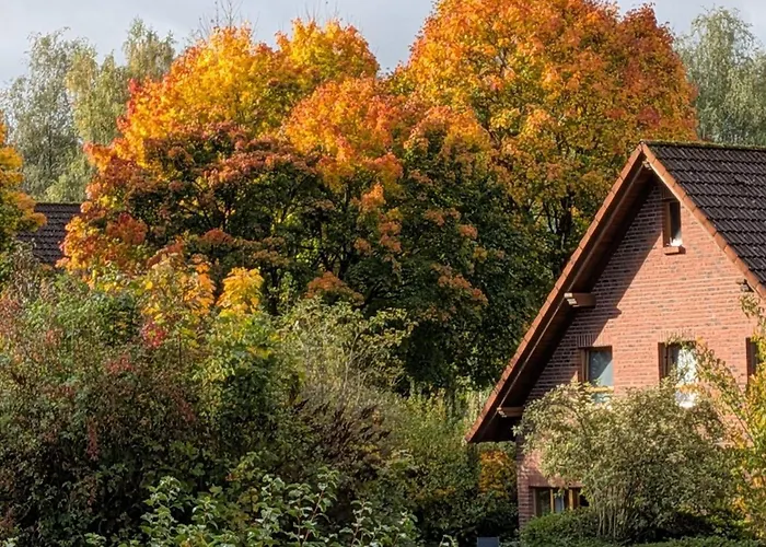 9 Nieheim