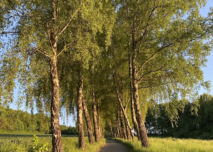 Vakantiehuis 9